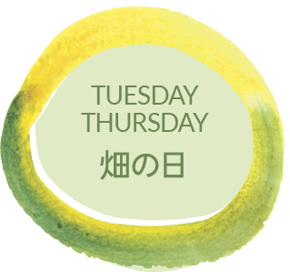 TUESDAY 畑の日
